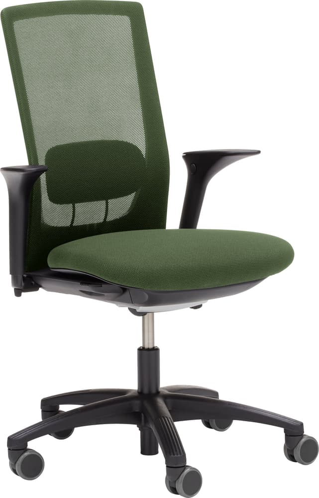 Futu Mesh  1100-S Chaise de bureau HAG 401512900060 Dimensions L: 61.0 cm x P: 47.0 cm x H: 105.0 cm Couleur Vert Photo no. 1