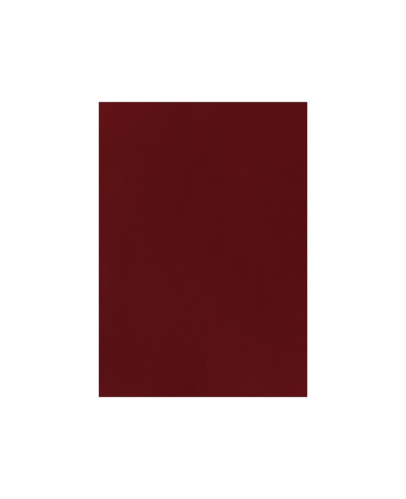 Carta Per Foto A4, Rosso Cartone fotografico 666540900080 Colore Rosso Dimensioni L: 21.0 cm x P: 0.05 cm x A: 29.7 cm N. figura 1