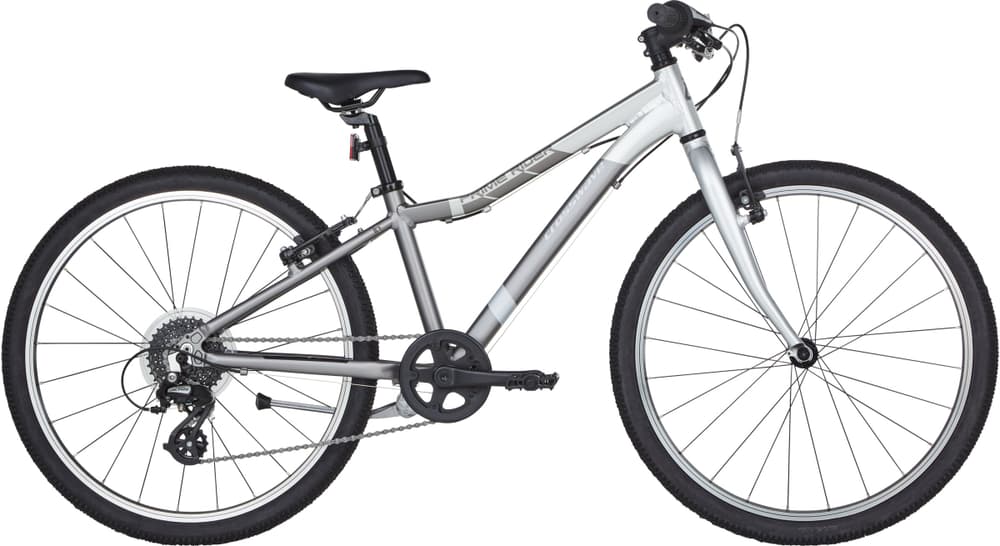 Prime Rider 20" Vélo enfant Crosswave 464823407787 Couleur argent Tailles du cadre 20" Photo no. 1