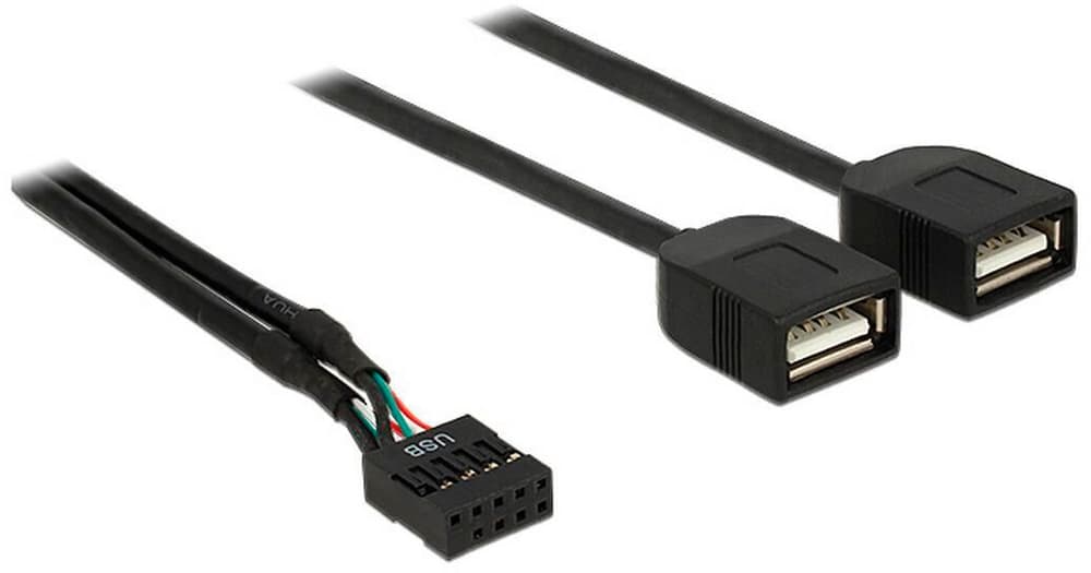 Cavo USB2.0 pin header 2x USB2.0 40 cm Cavo dati interno DeLock 785302406126 N. figura 1