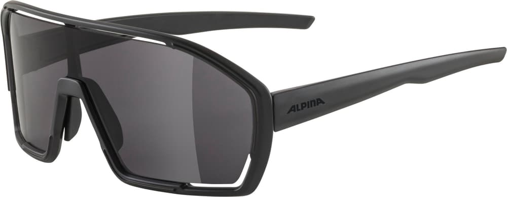 Bonfire Sportbrille Alpina 465096200020 Grösse Einheitsgrösse Farbe schwarz Bild-Nr. 1