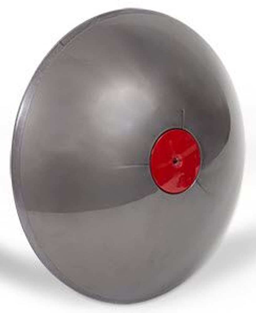 Copriruota Big Ball Multifloor Dyson 9000028638 No. figura 1