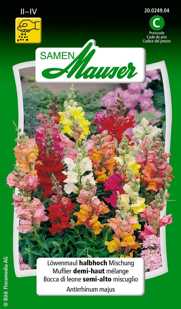 Muflier demi-haut mélange Semences de fleurs Samen Mauser 650101001000 Contenu 0.5 g (env. 100 plantes ou 4 m²) Photo no. 1