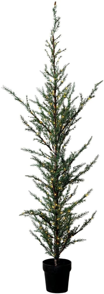 Weihnachtsbaum Milas, 180 cm, 180 LEDs, Grün Kunstbaum Sirius 785302412443 Bild Nr. 1