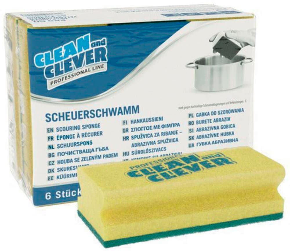 Scheuerschwamm Reinigungsschwamm Clean And Clever 669700120163 Bild Nr. 1