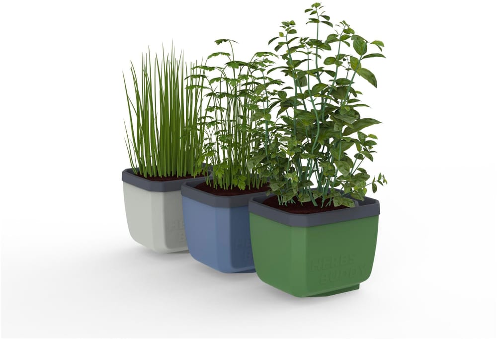 HERBS BUDDY Pot à herbes aromatiques Set de 3 pièces Trecolore Pot biodégradables Gusta Garden 785302428050 Photo no. 1