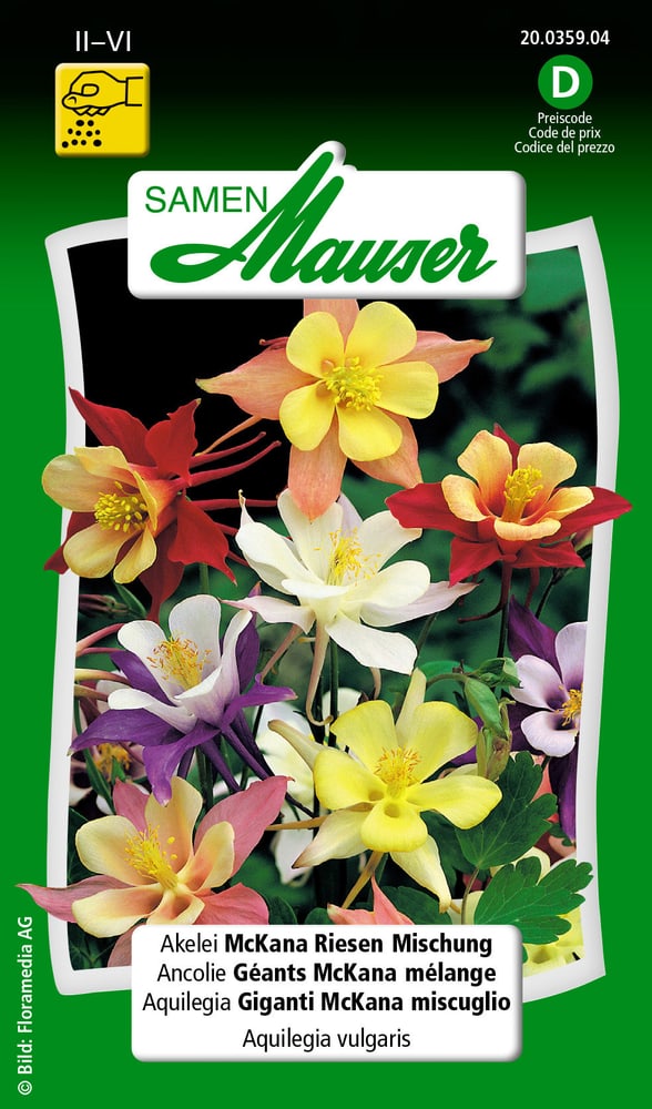 Akelei McKana Riesen Mischung Blumensamen Samen Mauser 650101101000 Inhalt 0.5 g (ca. 80 Pflanzen oder 4 - 5 m² ) Bild Nr. 1