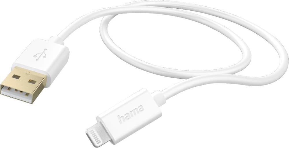 Câble de charge, USB-A - Lightning, 1,5 m, Blanc Câble de recharge Hama 785300173808 Photo no. 1