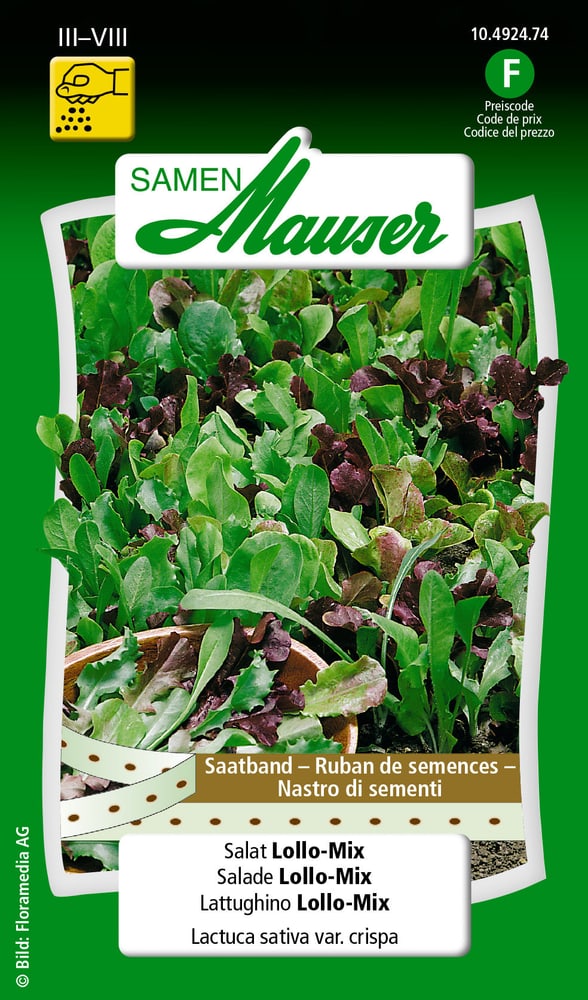 Ruban de semences Salade Lollo-Mix Semences de legumes Samen Mauser 650114406000 Contenu 3 x 2.5 m de ruban de graines pour für 1.5 - 2 m² Photo no. 1
