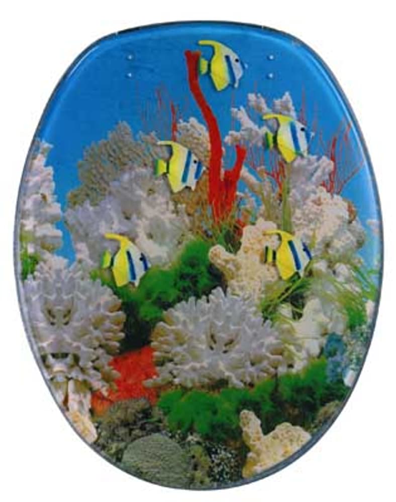 SIEGE DE WC 3D_Reef diaqua 67561850001004 Photo n°. 1
