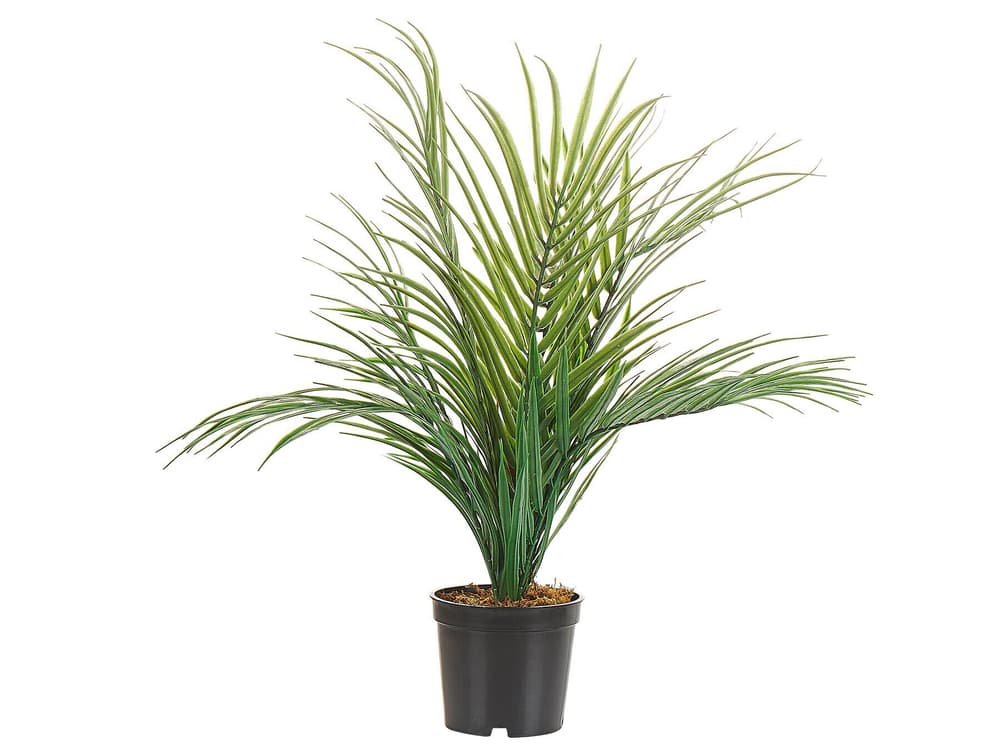 Areca Palm Kunstpflanze Beliani 656828800000 Bild Nr. 1
