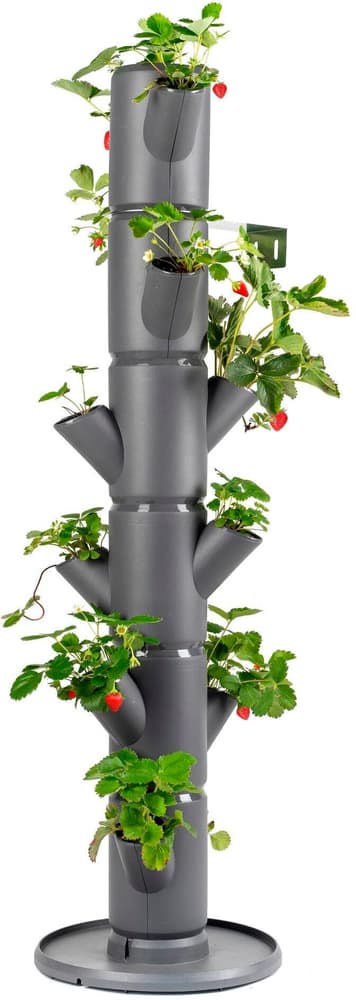 Vasi per vivaio SISSI STRAWBERRY Classic, antracite Giardino verticale Gusta Garden 785300181145 N. figura 1