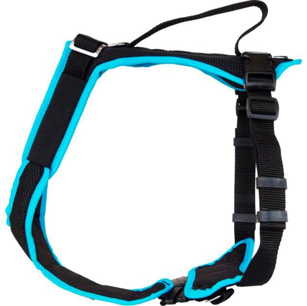 Harnais Grossenbacher Vary XS turquoise réglable 3XS - XS Harnais pour chien Grossenbacher 669700101717 Photo no. 1