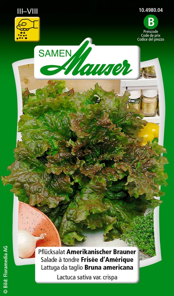 Pflücksalat Amerikanischer Brauner Gemüsesamen Samen Mauser 650113302000 Inhalt 5 g (ca. 4 m²) Bild Nr. 1