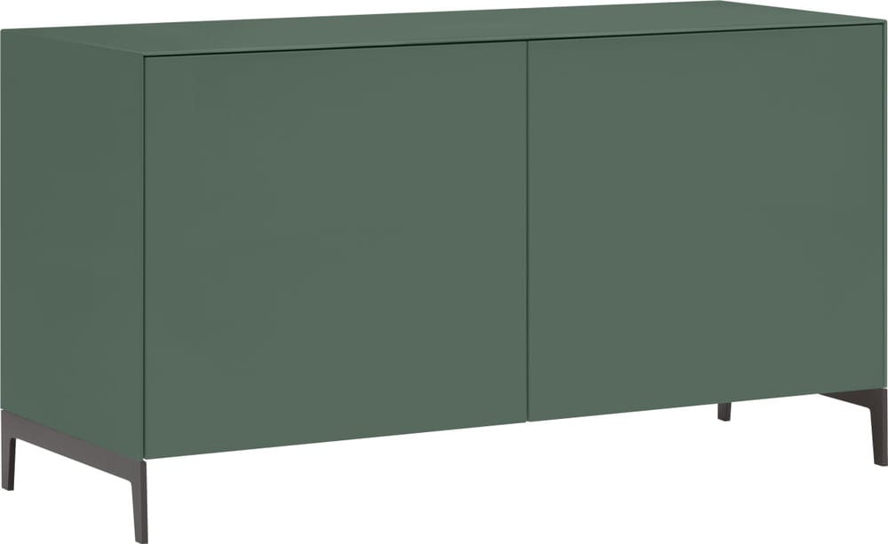 LUX Sideboard LUX Sideboard 400845900000 Dimensioni L: 120.0 cm x P: 46.0 cm x A: 68.0 cm Colore Verde N. figura 1