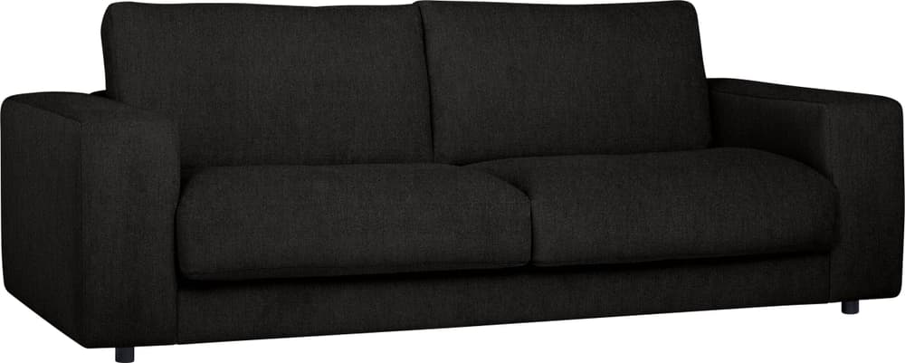 HARRISON 2er-Sofa HARRISON 2er-Sofa 405887020320 Grösse B: 230.0 cm x T: 107.0 cm x H: 85.0 cm Farbe Schwarz Bild Nr. 1