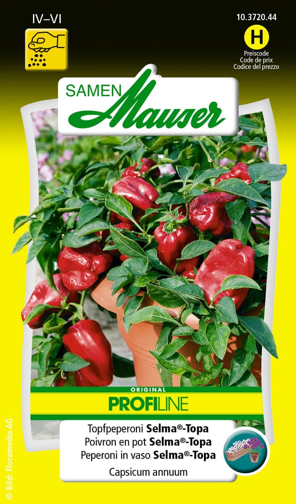 Peperoni Selma®-Topa Gemüsesamen Samen Mauser 650113003000 Inhalt 10 Korn (ca. 8 Pflanzen) Bild Nr. 1