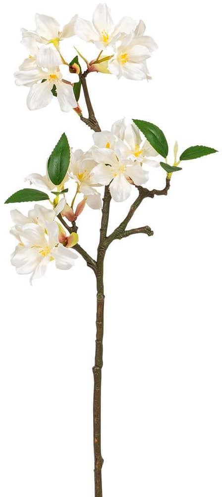 Branche de fleurs de cerisier Panneau décoratif 658078100000 Photo no. 1