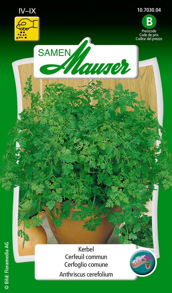 Cerfeuil commun Semences d’herbes arom. Samen Mauser 650111301000 Contenu 2.5 g (env. 2 - 3 m²) Photo no. 1