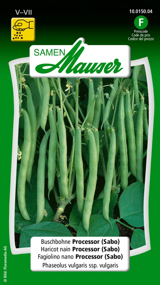 Haricot nain Processor (Sabo) Semences de legumes Samen Mauser 650109304000 Contenu 80 g (env. 8 m²) Photo no. 1