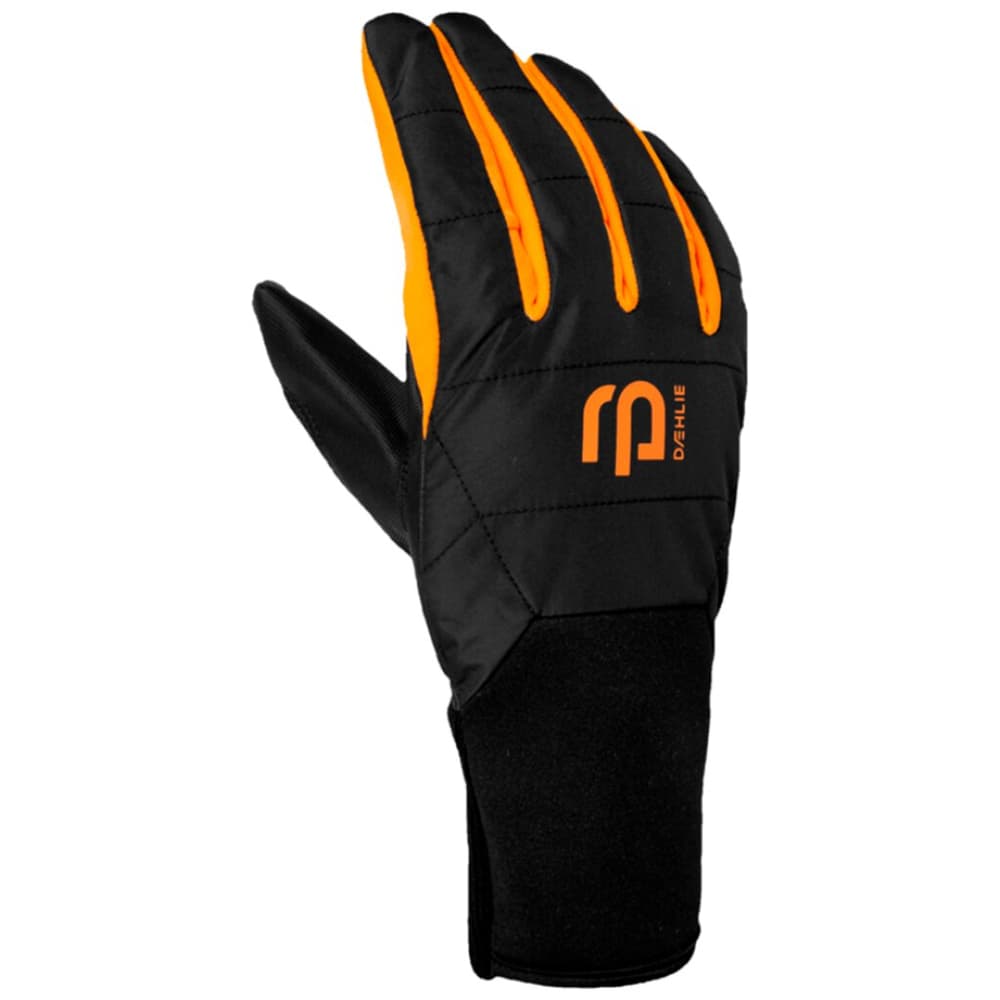 Glove Pace Daehlie 472609910020 Taille 10 Couleur noir Photo no. 1