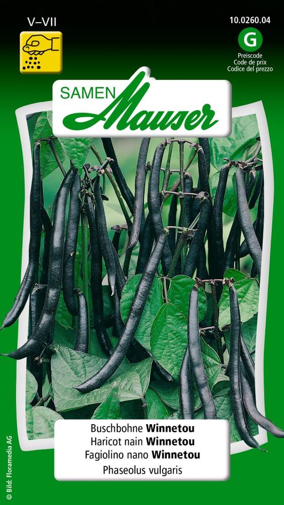 Haricot nain Winnetou Semences de legumes Samen Mauser 650109308000 Contenu 80 g (env. 8 m²) Photo no. 1