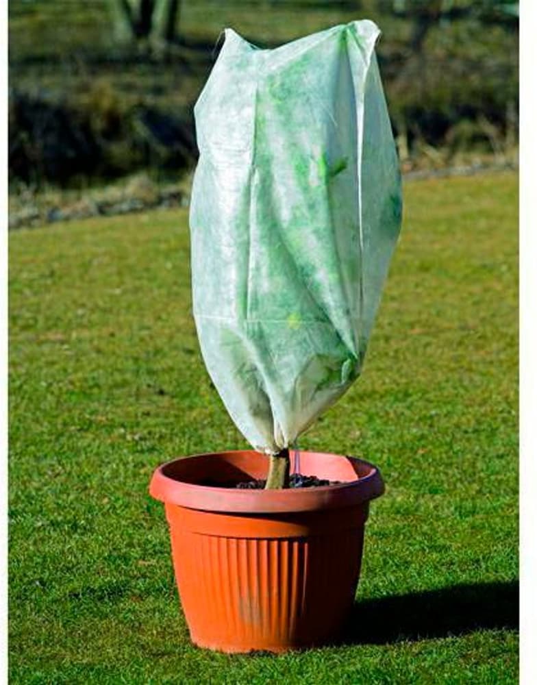 Voile d'hivernage Protex avec cordon 1.2 x 1.6&nbsp;m - lot de 2&nbsp;pièces Potager surélevé Stocker 669700120525 Photo no. 1