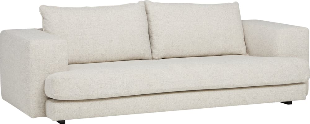 FROWE 2.5er-Sofa FROWE 2.5er-Sofa 405901625314 Grösse B: 243.0 cm x T: 88.0 cm x H: 83.0 cm Farbe Natur Bild Nr. 1