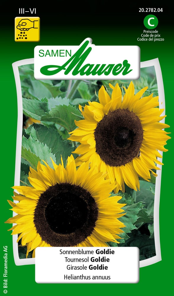 Sonnenblume Goldie Blumensamen Samen Mauser 650104108000 Inhalt 2.5 g (ca. 40 - 60  Pflanzen oder 6 m²) Bild Nr. 1