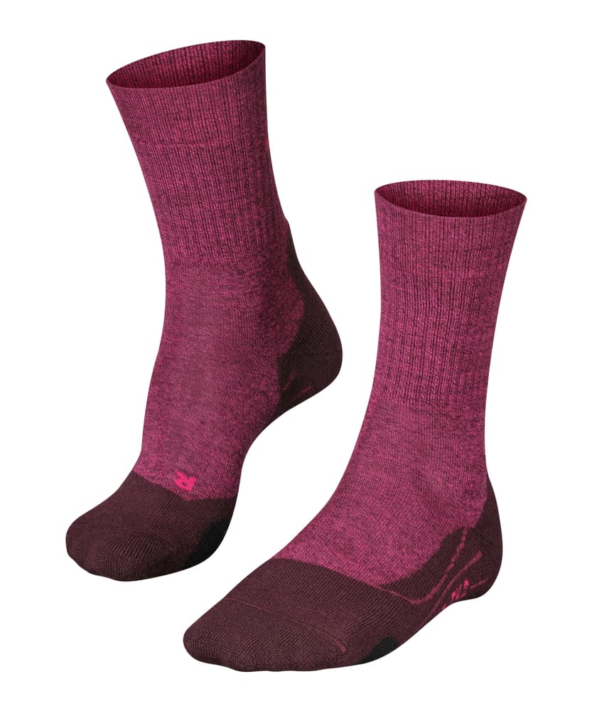 TK2 Wool Ladies Socken Falke 477109837088 Grösse 37-38 Farbe bordeaux Bild-Nr. 1