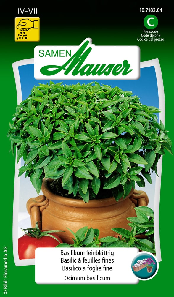 Basilic à feuilles fines Semences d’herbes arom. Samen Mauser 650108701000 Contenu 2.5 g (env. 5 m²) Photo no. 1