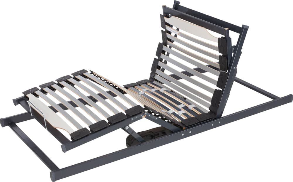 bico EASY FLEX Duomat Sommier EASY FLEX Duomat Sommier bico 403355012010 Largeur 120.0 cm Longueur 200.0 cm Photo no. 1