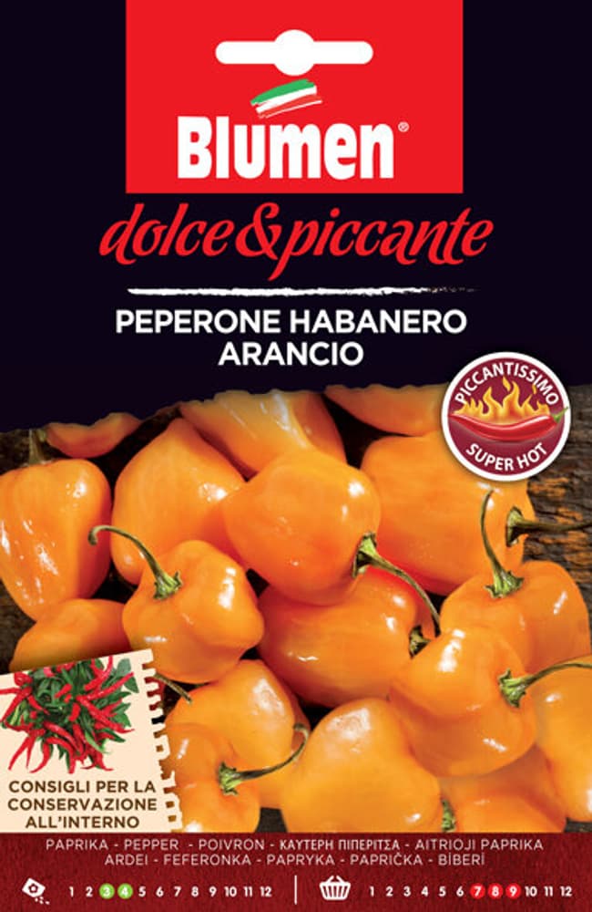 Poivron Habanero arancio Semences de gourmet Blumen 650163200000 Photo no. 1