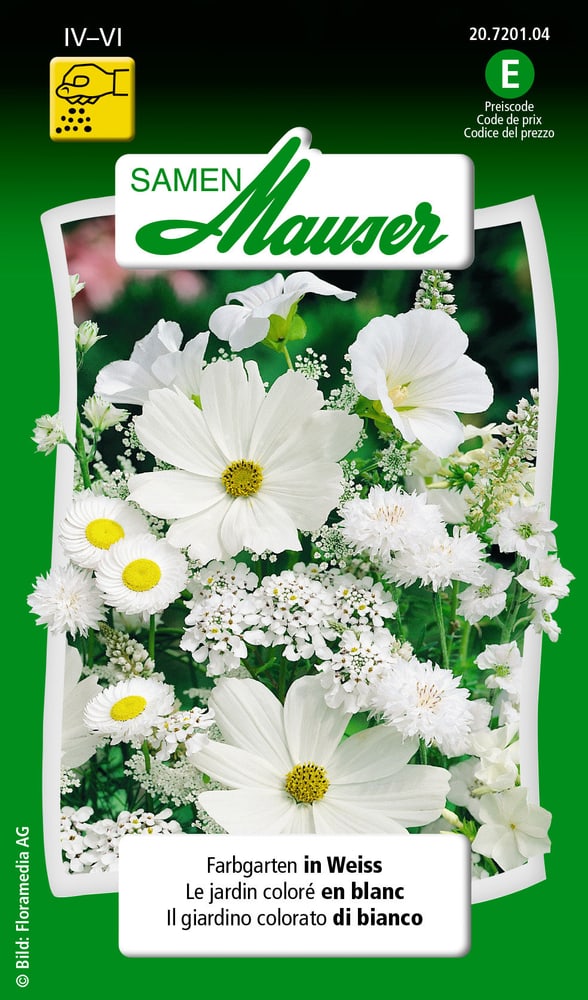 Il giardino colorato di bianco Sementi di fiori Samen Mauser 650103703000 Contenuto 3 g (ca. 100 - 150 piante o 3 - 4 m²) N. figura 1