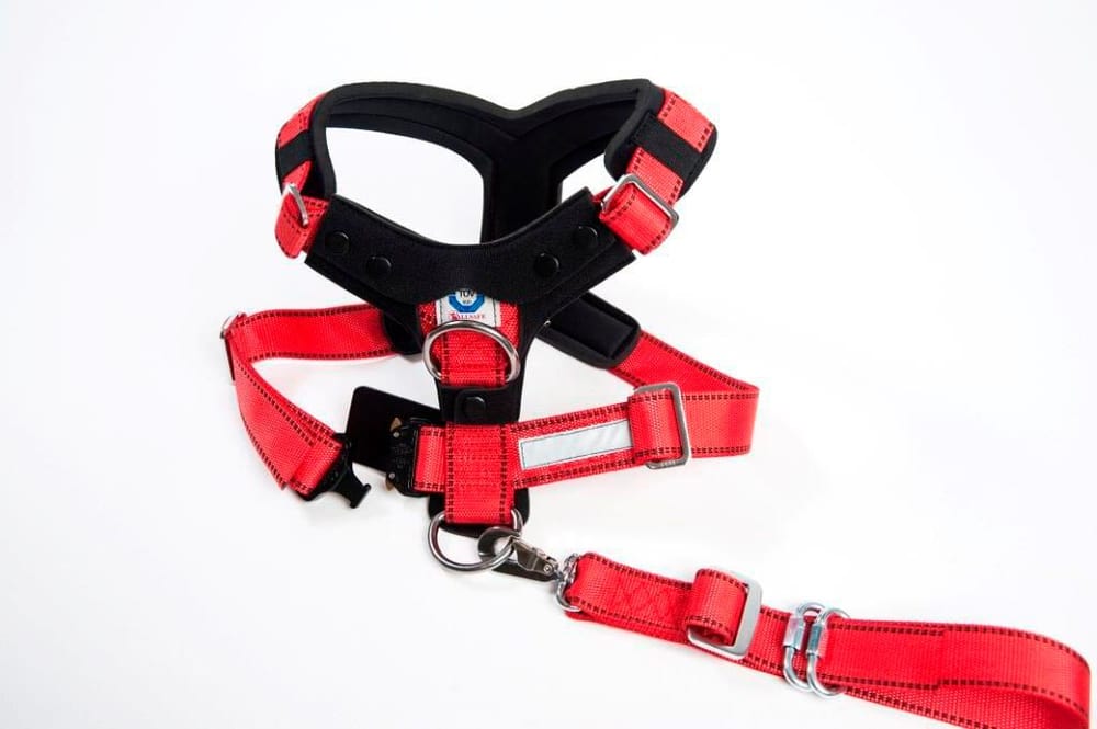 Cintura di sicurezza per cani Kleinmetall Allsafe Comfort L Pettorina per cani Kleinmetall 669700100912 N. figura 1