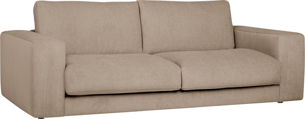 HARRISON Canapé 2 places HARRISON Canapé 2 places 405891020313 Dimensions L: 230.0 cm x P: 127.0 cm x H: 85.0 cm Couleur Sable Photo no. 1