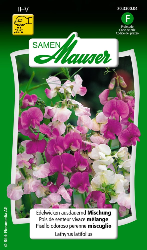 Pisello odoroso perenne miscuglio Sementi di fiori Samen Mauser 650107301000 Contenuto 2.5 g (ca. 20 piante o 1 m²) N. figura 1
