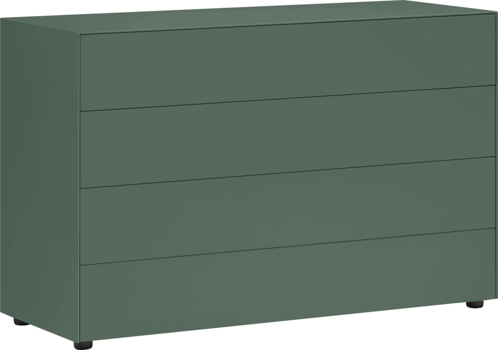 LUX Cassettone 400840400060 Dimensioni L: 120.0 cm x P: 46.0 cm x A: 74.5 cm Colore Verde N. figura 1