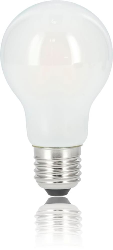 LED-Filament, E27, 806lm ersetzt 60W, Glühlampe, Matt, Warmweiß Leuchtmittel Hama 785300175081 Bild Nr. 1