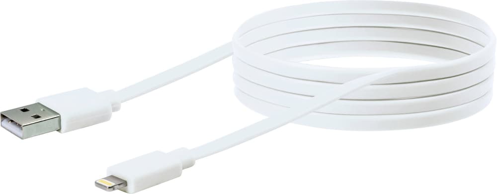 Cable Apple Lightning 1,5m Câble Lighting Schwaiger 613184400000 Photo no. 1