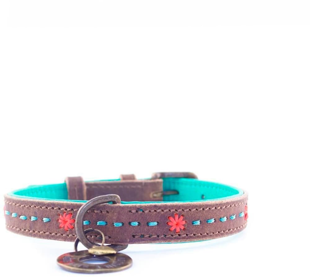 Joplin Halsband Gr.S, 2cm Halsband Dog with a mission 785300192713 Bild Nr. 1