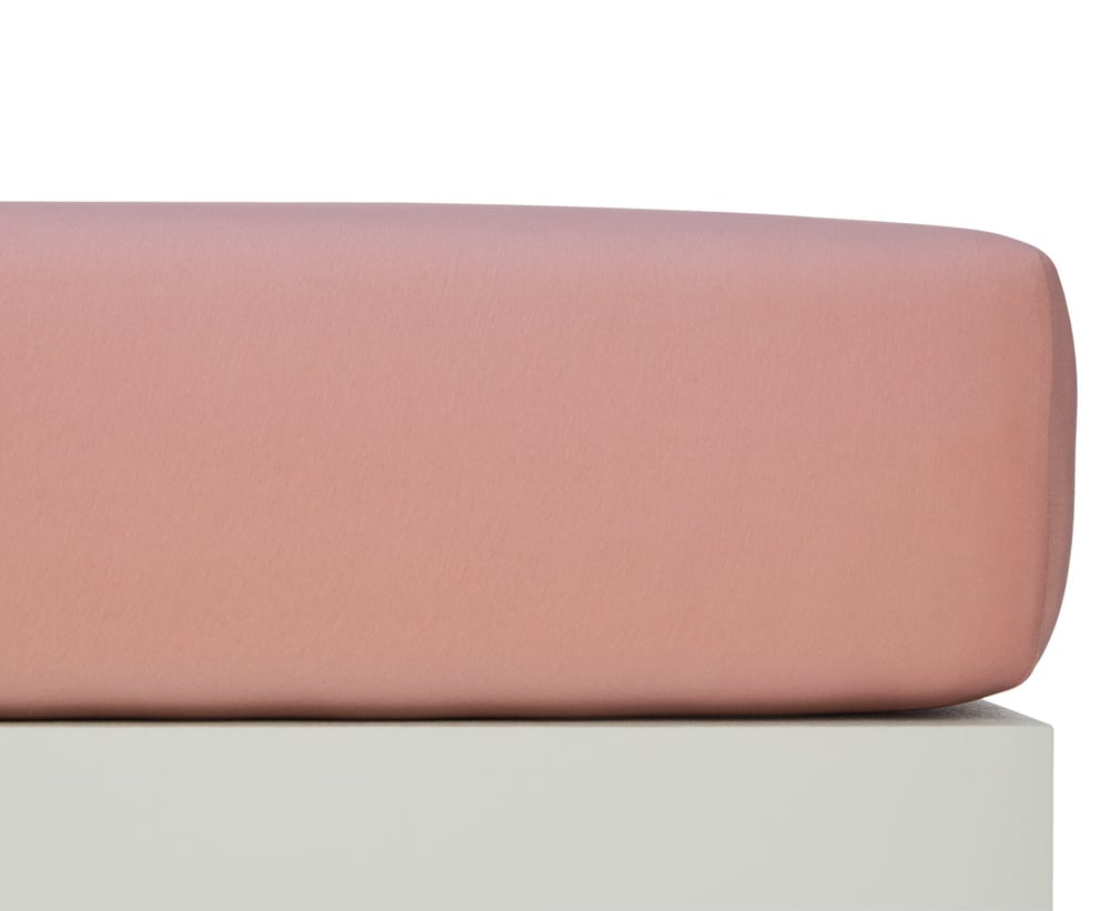 EVAN II Stretch Jersey-Fixleintuch EVAN II Stretch Jersey-Fixleintuch 451065230347 Farbe Ash Rose Grösse B: 90.0 cm x H: 200.0 cm Bild Nr. 1