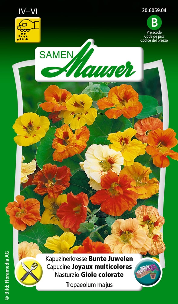 Nasturzio Gioie colorate Sementi di fiori Samen Mauser 650107803000 Contenuto 3 g (ca. 25 piante o 3 m²) N. figura 1