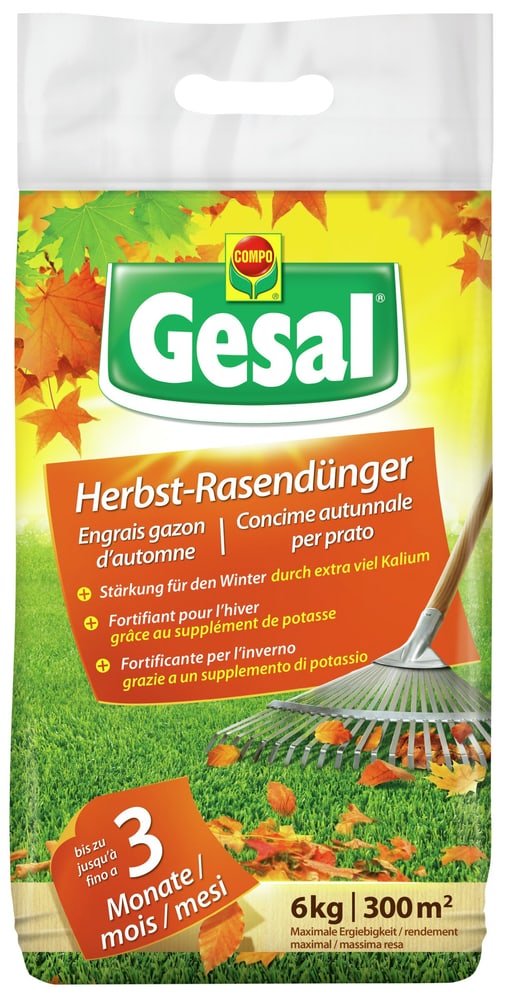 Herbst-Rasendünger, 6 kg Rasendünger Compo Gesal 658240400000 Bild Nr. 1