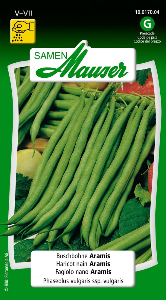 Haricot nain Aramis Semences de legumes Samen Mauser 650119102000 Contenu 60 g (env. 6 m² ) Photo no. 1
