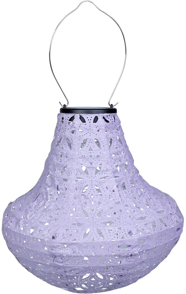 Lampion LED Solar Vase, Violett Solar Hängelampe COCON 785302424102 Bild Nr. 1