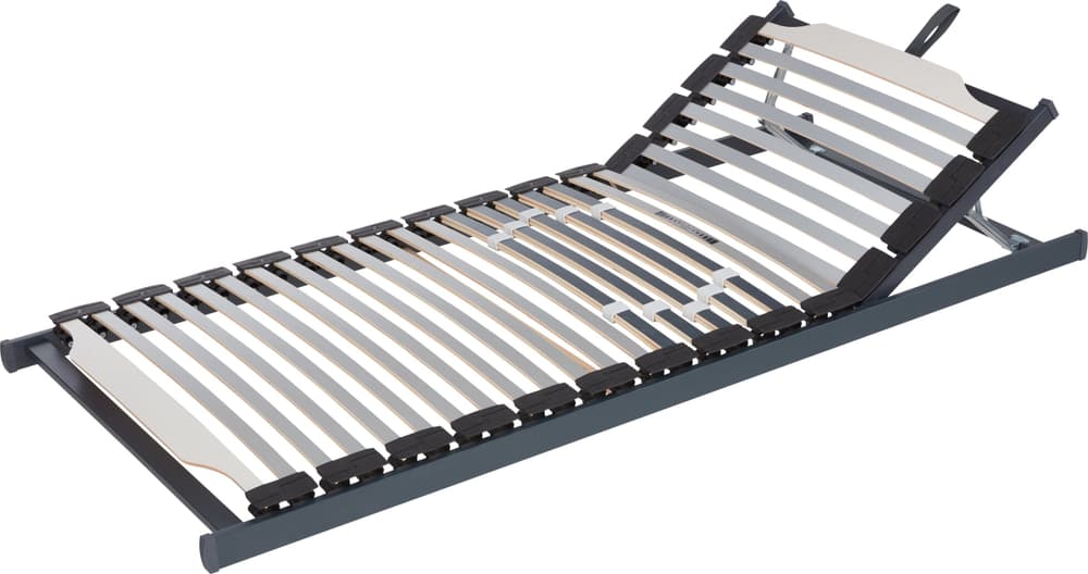 bico EASY FLEX Standard Einlegerahmen EASY FLEX Standard Einlegerahmen bico 403354990010 Breite 90.0 cm Länge 200.0 cm Bild Nr. 1