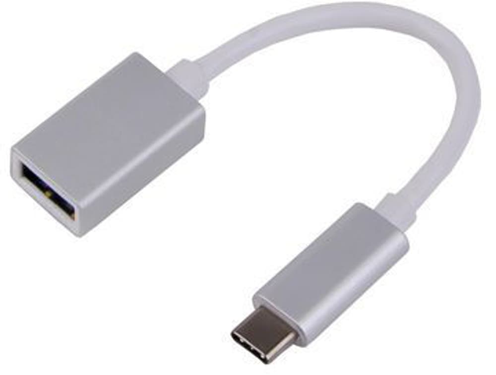 USB-C(m) to USB A(f) adapter, argent Adaptateur USB LMP 785300143359 Photo no. 1
