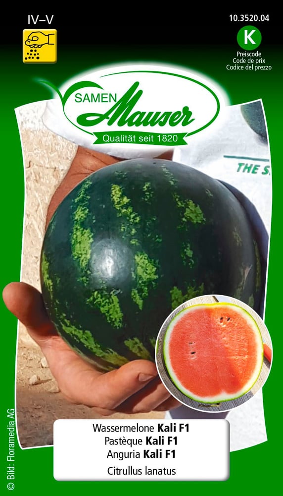 Wassermelone Kali F1 Gemüsesamen Samen Mauser 650250100000 Bild Nr. 1