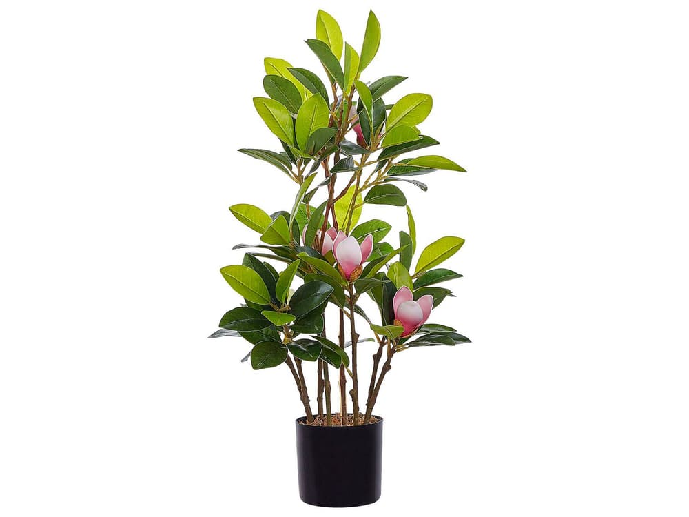 Magnolia Pianta artificiale Beliani 656828300000 N. figura 1